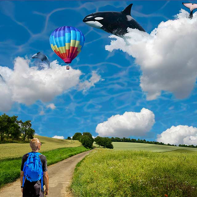 This is a thumbnail for my Whale watching piece. It is a photomontage made with Photoshop which shows a young man in a field looking at Orca's frolicking in the clouds above. All of this is set in a grassy meadow on a sunny day under a sky with a sea texture overlayed on it. A hot air balloon can be seen in the sky with the Orcas.
