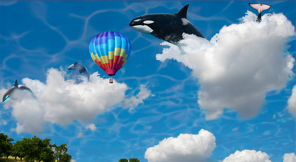This is a cropped version of a photoshop montage named Whale Whatching, created by Arnulfo Casco. In it you can see Killer whales jumping through white clouds in a sky that has a water pattern to it. In front of the whales and rainbow colored hot air balloon can be seen flying and below them is a green meadow with trees. You'll have to click the image to see the full version.